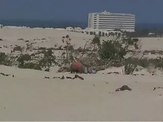 Egy barna hajú nő, egy hazi porno videok szőke, csodálatos mell, vonzó, fiatal, szexi puha csók az erkélyen, valamint a szobában is megnyalta minden puha barátja gondosan bántak vele. Retorika, barna, ragyogó édes barát két ujjal. Megkínozta a szeretője ül a csirke fasz nagyon régi, tele szenvedéllyel.